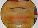 The Stone Roses - Second Coming – Picture LP,12