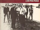 El Bosso & Die Ping Pongs PORK PIE Vinyl LP