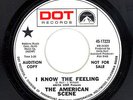 ?AMERICAN SCENE I Know The Feeling Dot 17223 WLP with insert ROCK SUNSHINE POP?