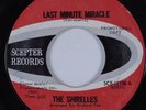 Northern Soul 45 SHIRELLES Last Minute Miracle SCEPTER HEAR