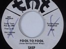 Northern Soul 45 SHEP Fool To Fool TNT HEAR