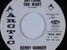 Northern/Deep Soul 45 KENNY HAMBER Anything You Want ARCTIC VG++ HEAR