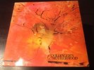 Doldingers Motherhood 12 Lp Progressive Jazzrock Mit U.Lindenberg Drums Liberty