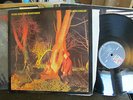 ECHO & THE BUNNYMEN CROCODILES KOROVA GERMANY NM PUNK lp '80 w/innersleeve rare