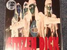 CITIZEN DICK Vinyl Pearl Jam Soundgarden Record Store Day 2015 Mother Love Bone