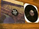 WONDER YEARS / STORY SO FAR / INTO IT OVER IT / TRANSIT / POLAR BEAR CLUB - LP