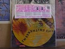 SMITHEREENS, ESPECIALLY FOR YOU PICTURE DISC SEAX-73258
