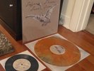 SUFJAN STEVENS SEVEN SWANS VINYL LP + BONUS 7” ORANGE GREEN SWIRL