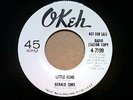 Gerald Sims ?  Little Echo / Mother Nature 45 RPM 7