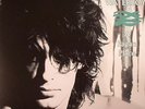 WATERBOYS, The - A Pagan Place (remastered) - Vinyl (LP)