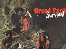 STUNNING ORIGINAL NEAR MINT GRAND FUNK RAILROAD 