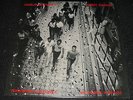 Popular Mechanics ?– Insect Culture - v rare vinyl LP (1987) ex+ / nr mint