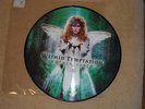 Within Temptation - Mother Earth - Rare Picture LP