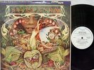 SPYRO GYRA - Morning Dance LP (RARE Audiophile NAUTILUS 