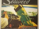 SEAWEED SPANAWAY 1995 PRESSING PROMO NM VINYL LP Punk Indie Grunge Sub-Pop