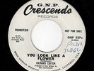 NORTHERN SOUL/DOOWOP/POPCORN-RICHARD CAITON-YOU LOOK LIKE A FLOWER/LISTEN TO THE