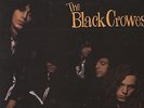 The Black Crowes ORIG. 1990 VINYL LP Shake Your Money Maker