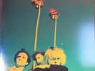 THE GUN CLUB - MIAMI LP ORIGINAL US NM ANIMAL