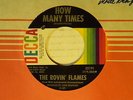 The Rovin' Flames 45 HOW MANY TIMES / LOVE SONG # 6   VG++ garage