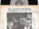 BUZZCOCKS 