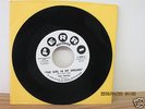 THE TOPICS (FRANKIE VALLI 4 SEASONS) THE GIRL IN MY DREAMS 45RPM  NR.MINT PROMO