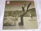 TONTON MACOUTE - SAME   D NEON   LP  RARE FREE SHIPPING