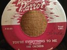 The Orchids -- You're Everything To Me / Newly Wed  Original 45 on Parrot