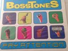 Mighty Mighty Bosstones Pay Attention Double LP Colored Vinyl  Blue & Green Rare