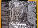 GRAY MATTER first LP 'Food' legendary US Hardcore Punk 1985 MINOR THREAT, NECROS