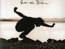 Eddie Vedder Into the Wild  LP vinyl record indie Import Pearl Jam Soundgarden