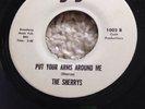 The Sherrys Put Your Arms Around Me JJ Label Bargain