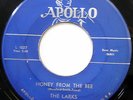 LARKS 45 Honey From The Bee / No Mama No DOO WOP Apollo ORIGINAL bb2233