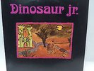 Dinosaur Jr. - Little Fury Things 10