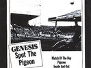 GENESIS Spot The Pigeon 12