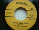 RARE ORIGINAL THE LUCKY CHARMS TIED TO YOUR HEART PROMO COPY