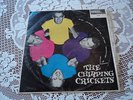 The Chirping Crickets  Vinyl LP Record