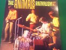 THE ANIMALS Animalism MGM label E4414 In EX Condition. This is near perfect
