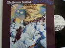 Heavy Guitar Psych/Fuzz Lp HUMAN INSTINCT Stoned Guitar (Hendrix/Cream)