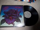 Thin Lizzy:Black Rose,swirl Vertigo,indian orig LP VG+/VG+