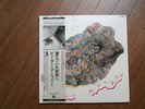 LP ALBUM PETER MURPHY SHOULD THE WORLD FALL APART JAPAN PROMO OBI BAUHAUS