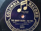 ‘JASS’ - W.C. HANDY’S ORCHESTRA - 'THE SNAKY BLUES’ 1917 COLUMBIA RARE ISSUE