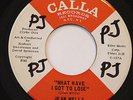JEAN WELLS-WHAT HAVE I GOT TO LOSE /BROOMSTICK HORSE COWBOY-NORTHERN  on CALLA
