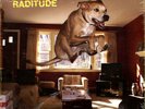 Weezer - Raditude LP 180g Vinyl DL NEW
