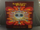 SUPER FURRY ANIMALS Rings Around The World 2 LP SET Epic 2001 Original Vinyl SFA