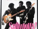 Robert Cray ALBERT COLLINS Johnny Copeland 
