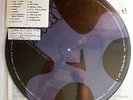 system of a down - steal this album double picture disc LP rare