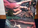 ROXY MUSIC STRANDED 180 GRAM VINYL LP WITH POSTER SEALED BRAND NEW