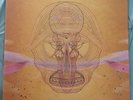 Devendra Banhart- What Will We Be LP RARE