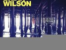 Brian Wilson - No Pier Pressure DOUBLE VINYL LP NEW/ MINT (1ST JUNE)