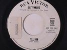 SUZY WALLIS: Tell Him / A Time For Us 45 (dj, few lite sleevemarks on disc, tol